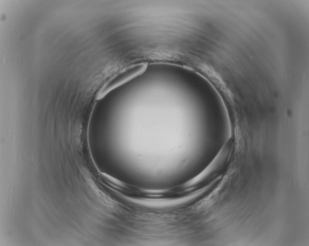 X0000088080201200705182240