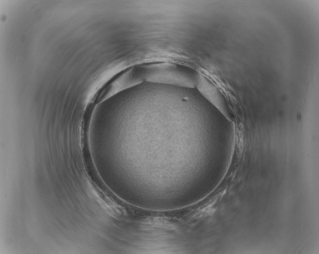 X0000088080244200705182238