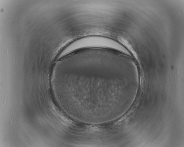 X0000088080249200705182238