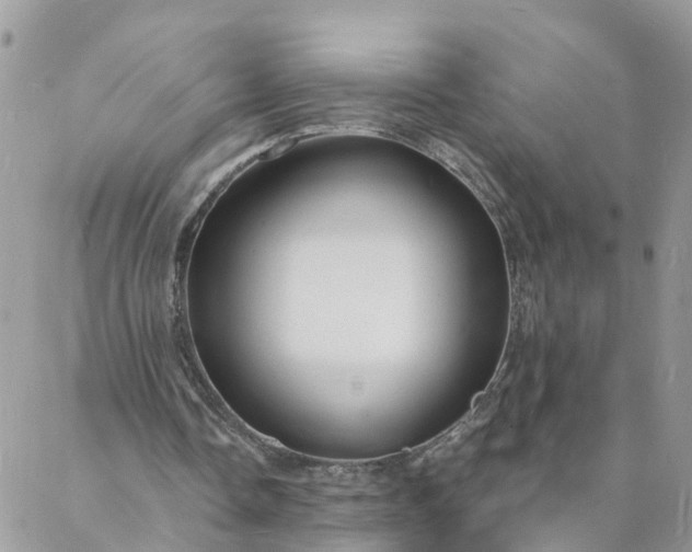 X0000088080338200705182237