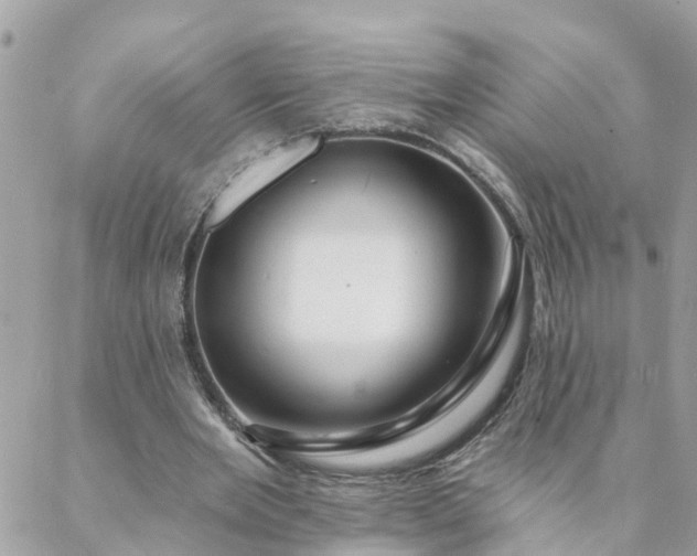X0000088080485200705182235