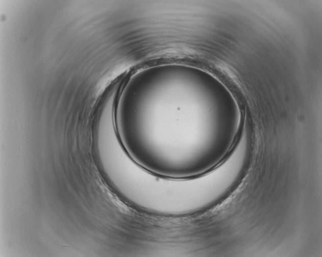 X0000088081018200705182226