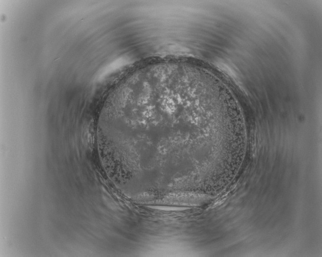 X0000088081063200705182226