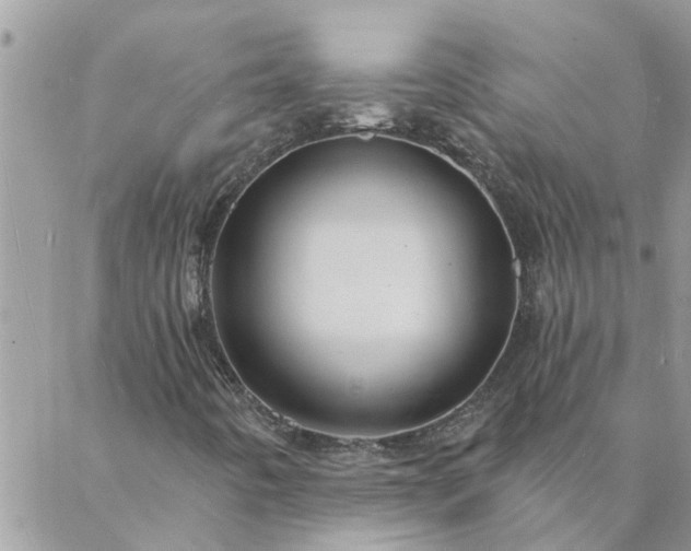 X0000088081442200705182219