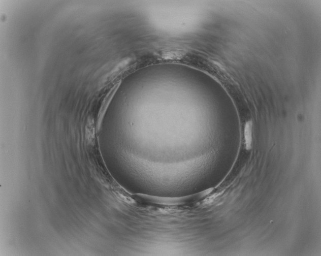 X0000088081443200705182219