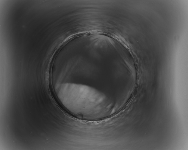 X0000088080002200705251417