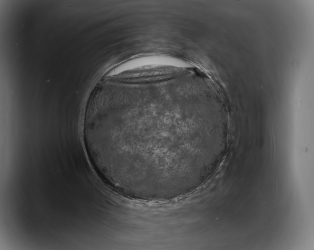 X0000088080003200705251417