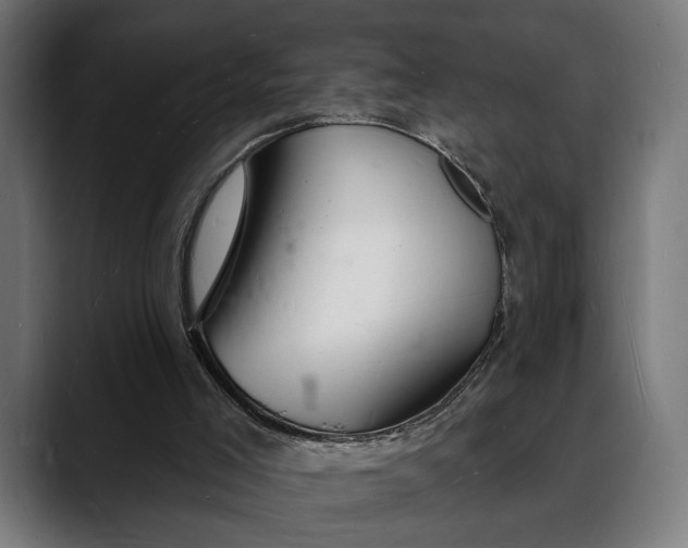 X0000088080005200705251417