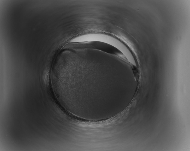 X0000088080009200705251417