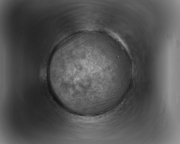 X0000088080010200705251417