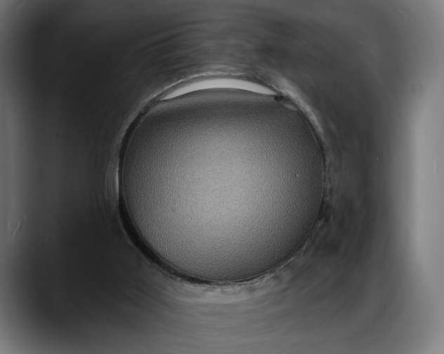 X0000088080011200705251417
