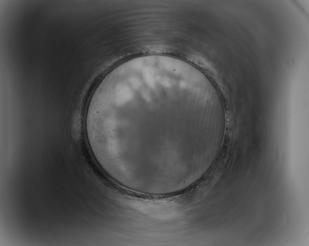 X0000088080012200705251417