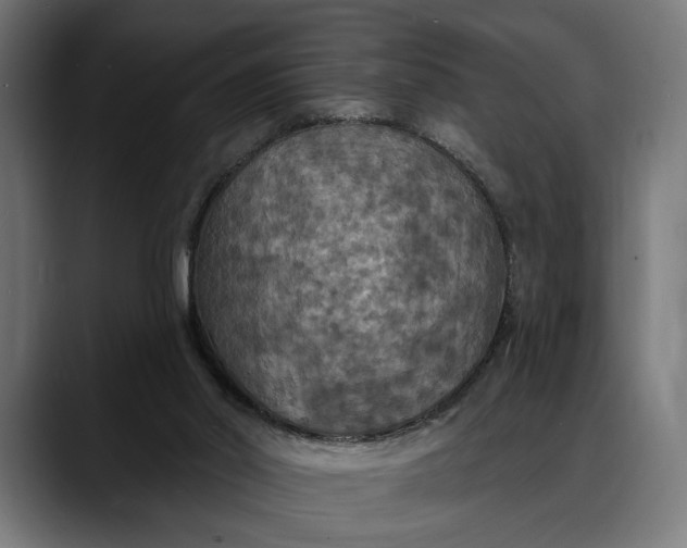 X0000088080014200705251417