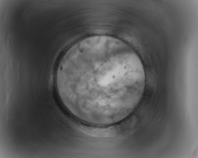 X0000088080016200705251417