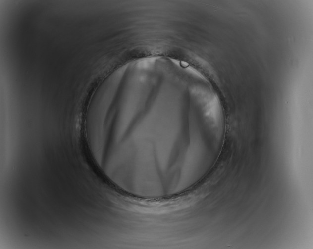 X0000088080018200705251417