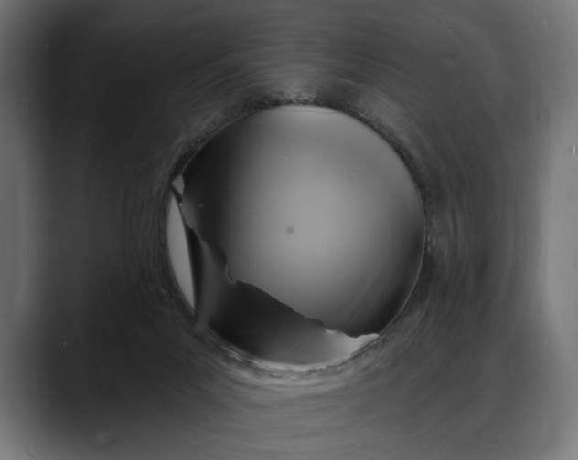 X0000088080023200705251417