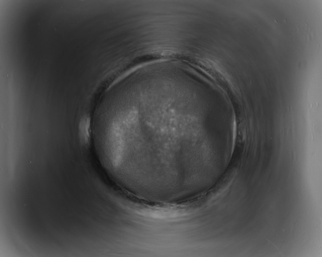X0000088080024200705251417