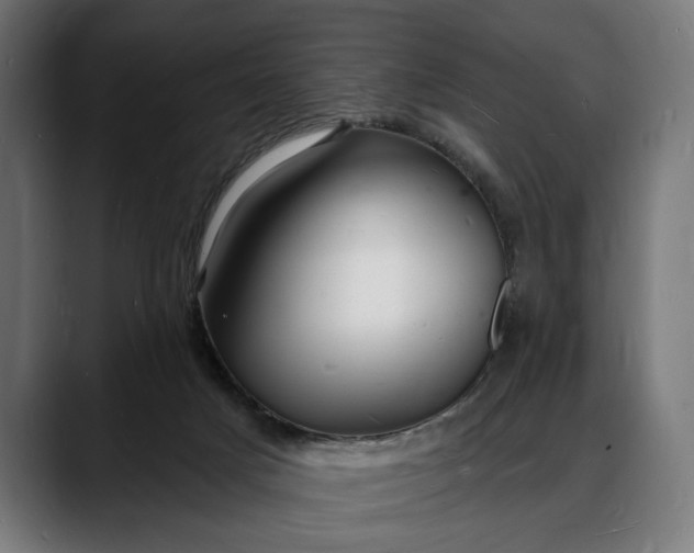 X0000088080025200705251417