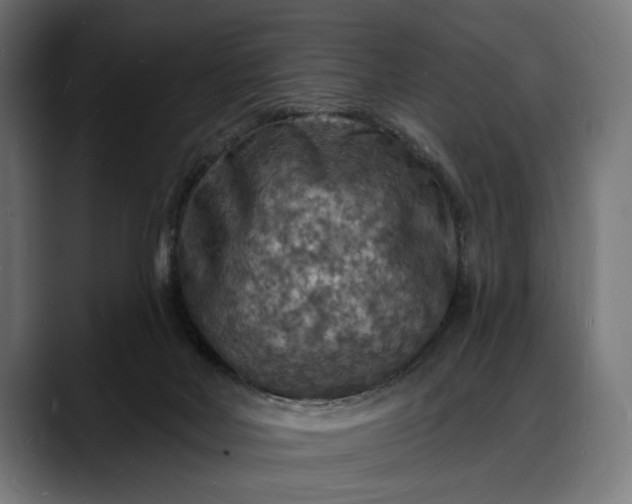 X0000088080026200705251417