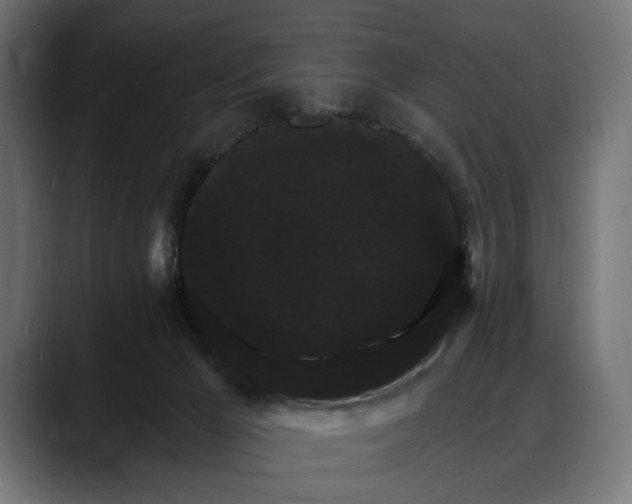 X0000088080029200705251417