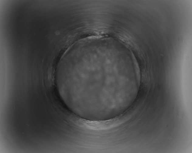 X0000088080030200705251417