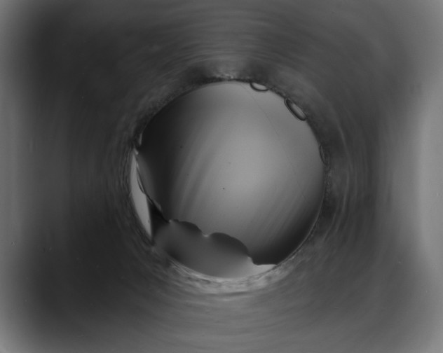 X0000088080031200705251417