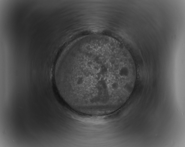 X0000088080032200705251417
