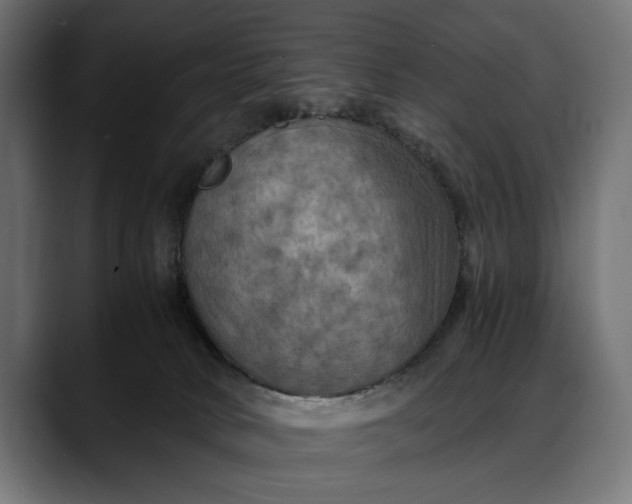 X0000088080034200705251417