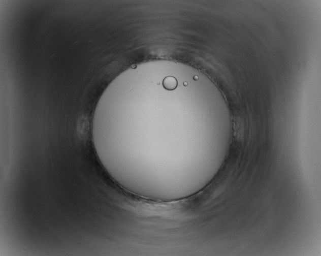 X0000088080036200705251417