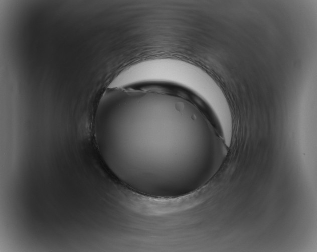 X0000088080039200705251417