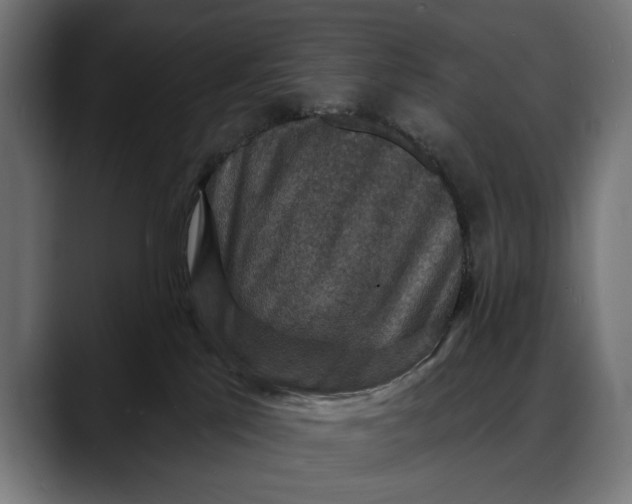 X0000088080041200705251417