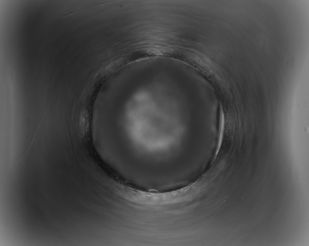 X0000088080043200705251417