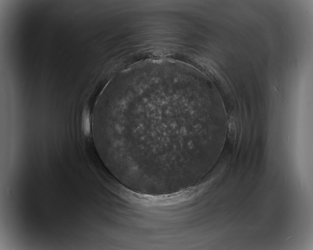 X0000088080046200705251417