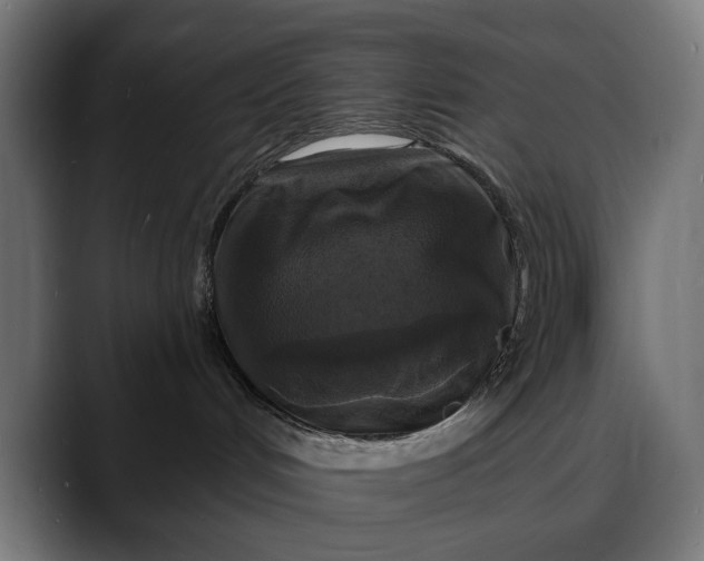 X0000088080048200705251417