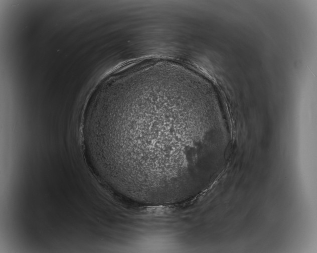 X0000088080050200705251416