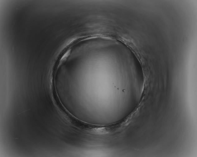 X0000088080054200705251416