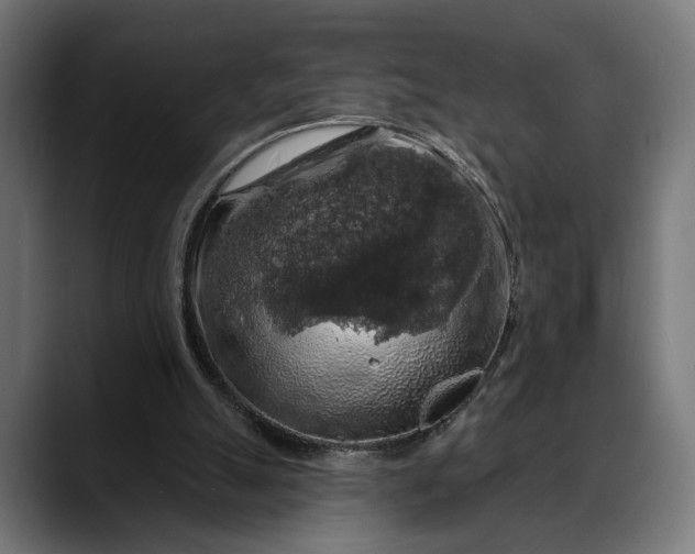 X0000088080055200705251416