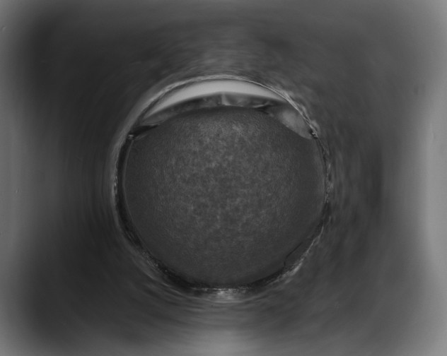 X0000088080056200705251416