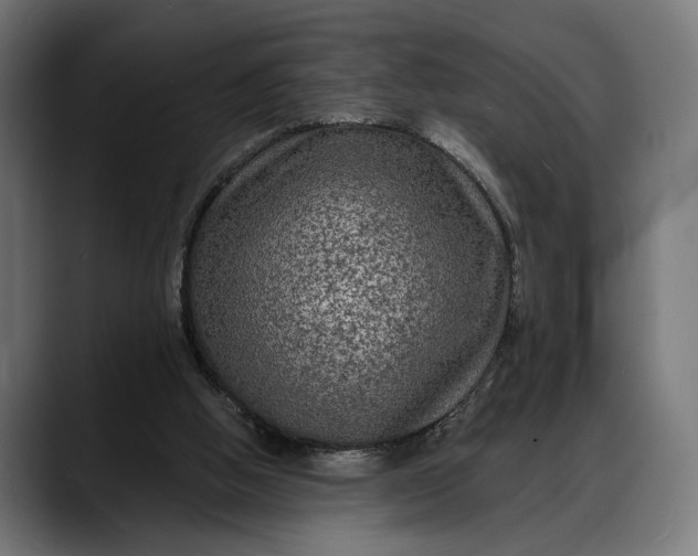 X0000088080058200705251416