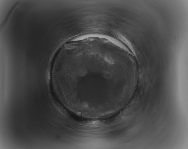 X0000088080059200705251416
