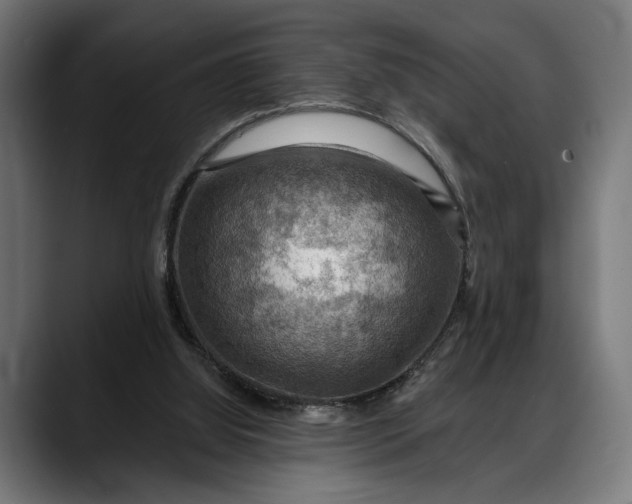 X0000088080060200705251416