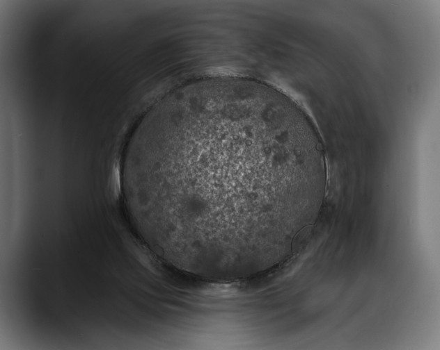 X0000088080061200705251416