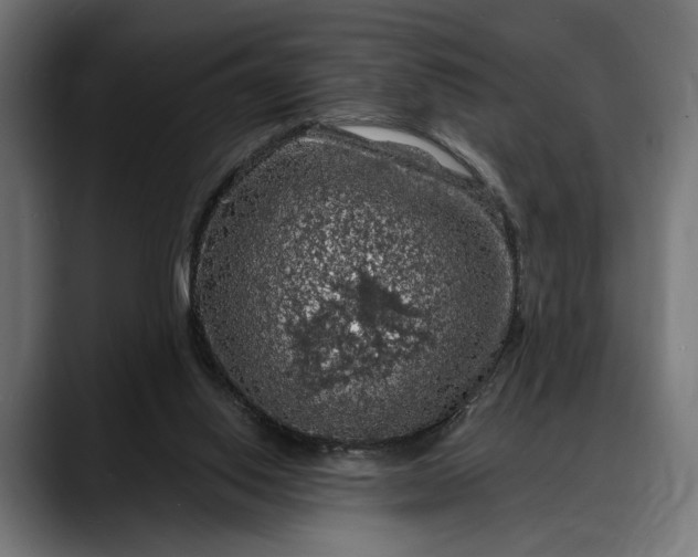 X0000088080062200705251416