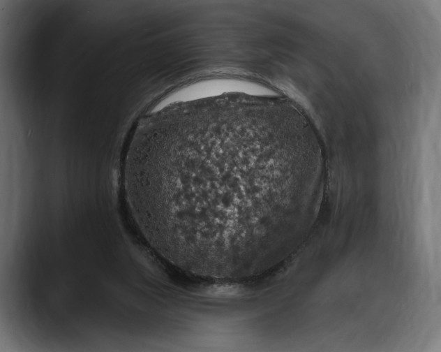 X0000088080063200705251416