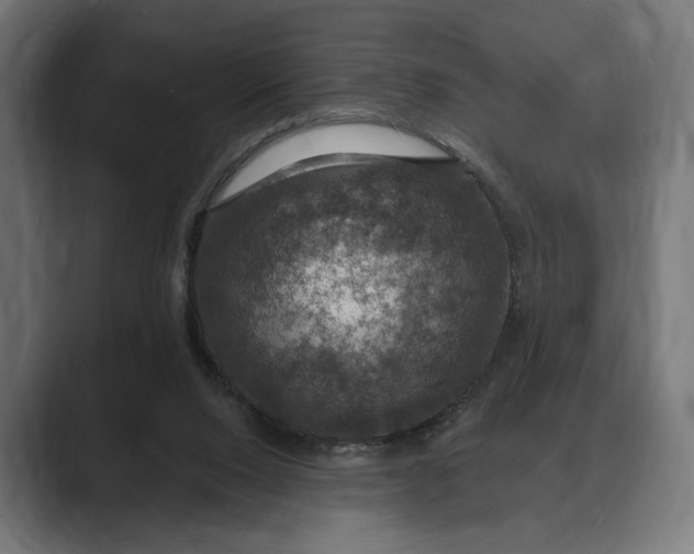 X0000088080064200705251416