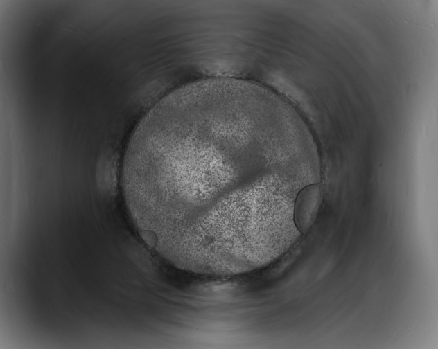 X0000088080065200705251416