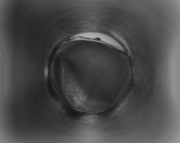 X0000088080067200705251416