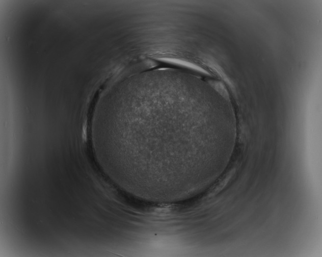 X0000088080068200705251416