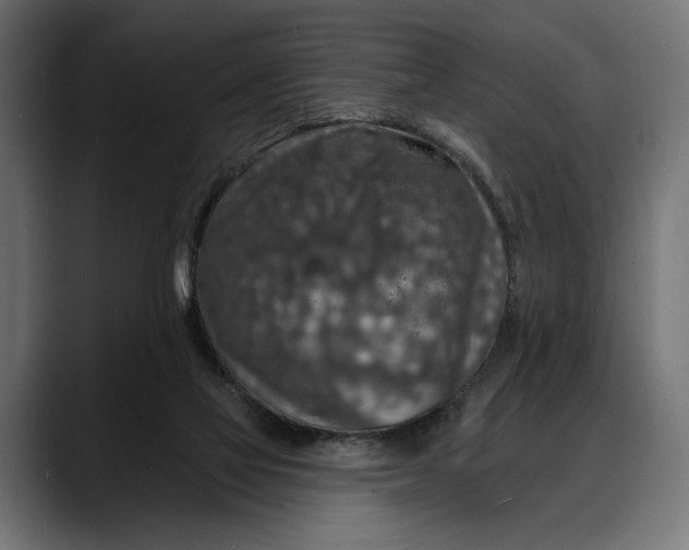 X0000088080069200705251417