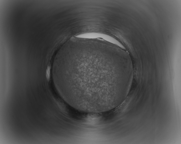 X0000088080070200705251417